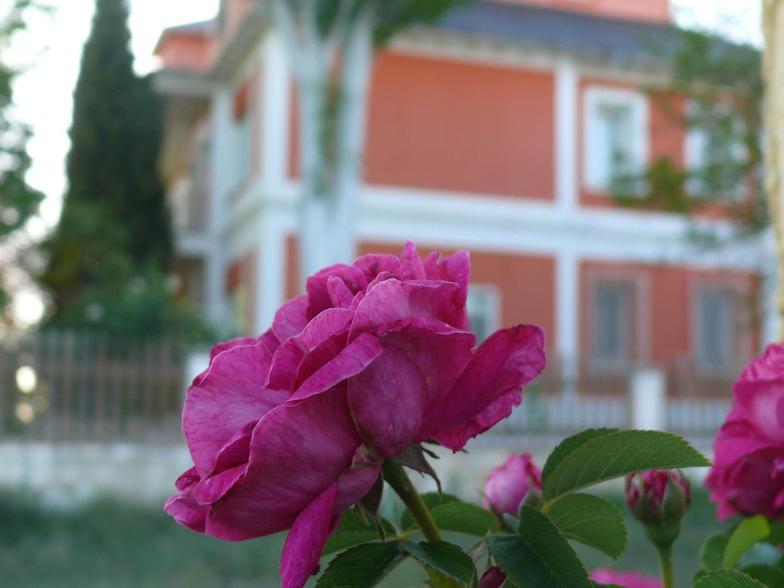 فيلا La Casa Grande De Gormaz Quintanas de Gormaz المظهر الخارجي الصورة