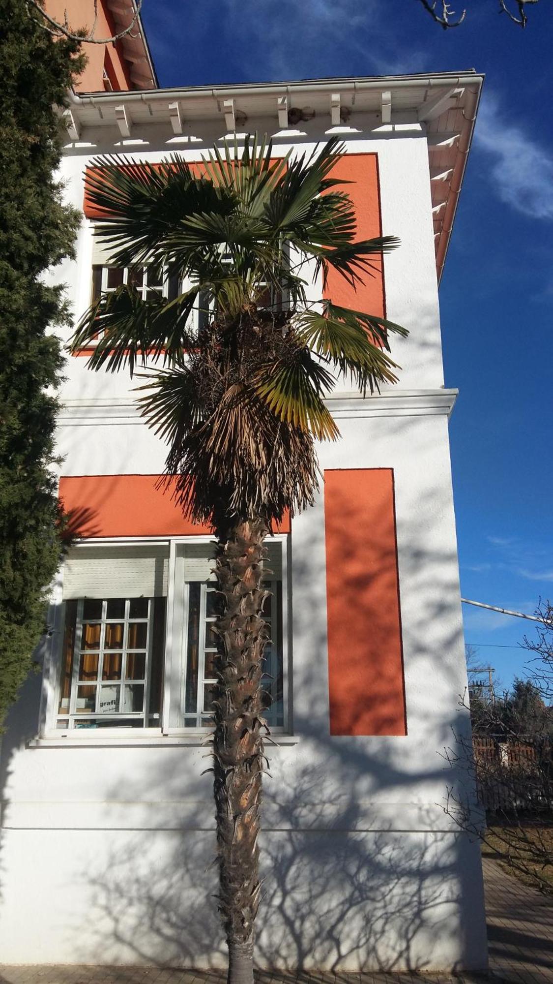 فيلا La Casa Grande De Gormaz Quintanas de Gormaz المظهر الخارجي الصورة